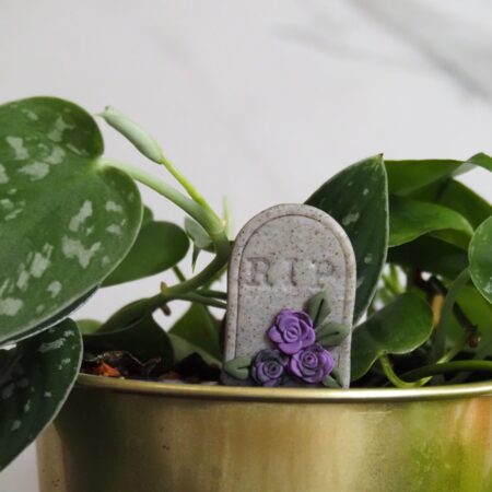 Dead and Gone Garden – Vile Violet