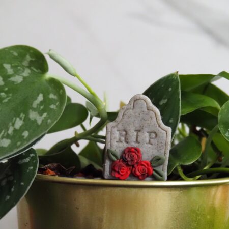 Dead and Gone Garden – Rose Red