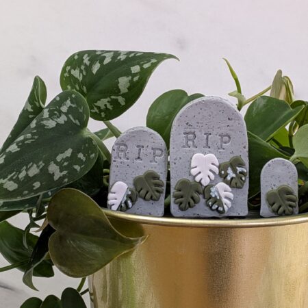 Monstera