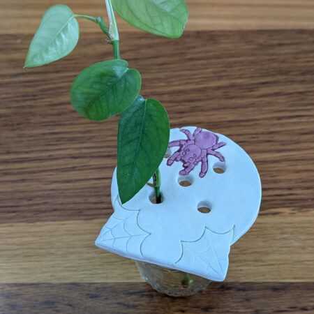 Ceramic Spider Web Propagation Frog / Mason Jar Topper
